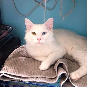 Meet your Posher, Branden